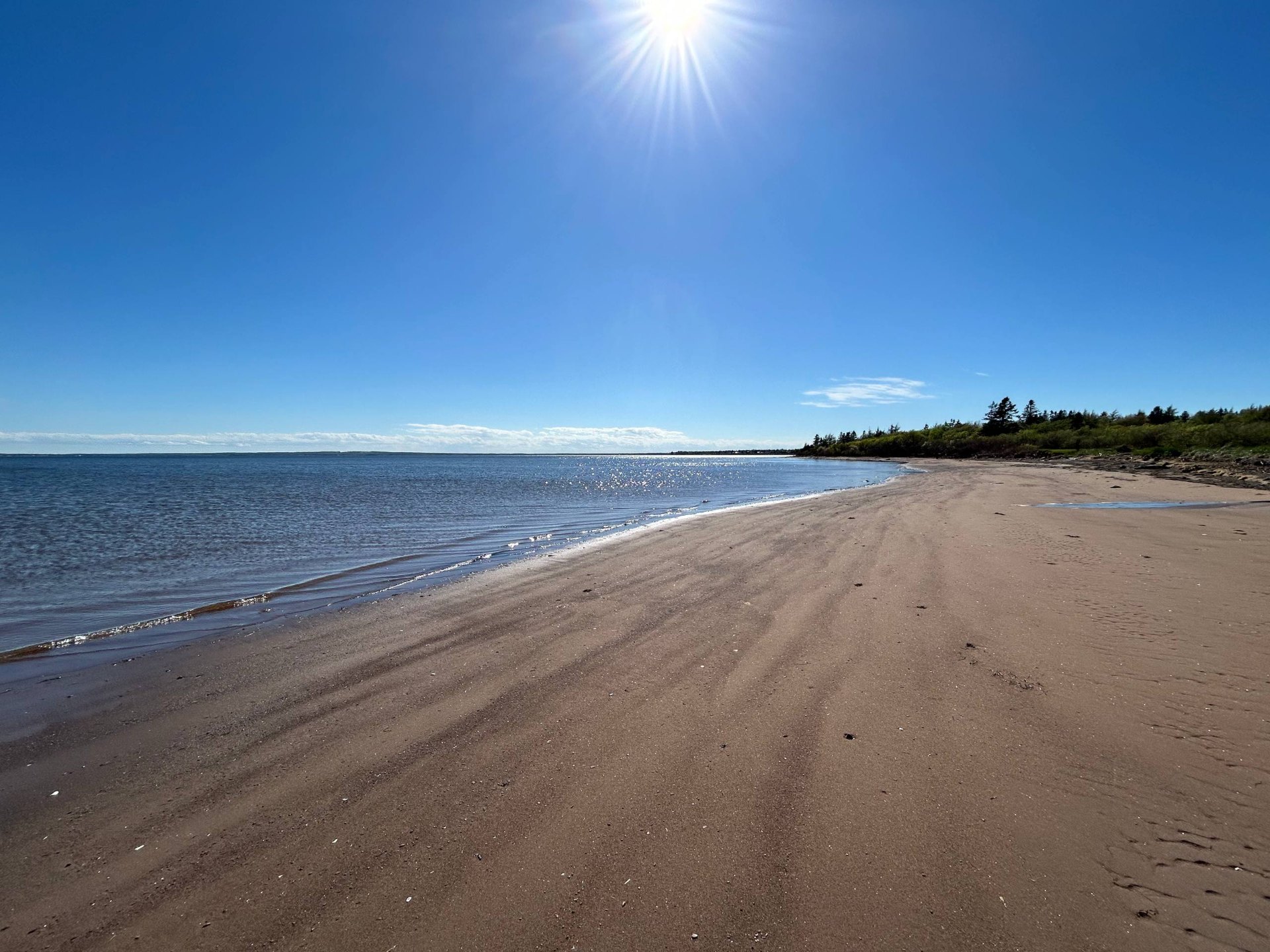 Sunny day on the sandy beach